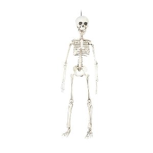 Esqueleto Ranieri Para Pendurar 40cm - 1 Un