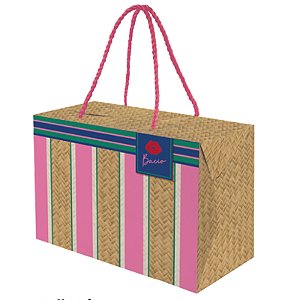 Kit Caixa com Alça Prime Bella Vita P 23x10x14cm - 10 Un