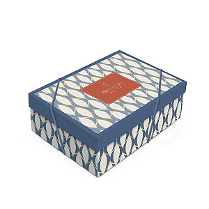 Kit Caixa Retangular com Tampa Waves M 35x25x11cm - 10 Un