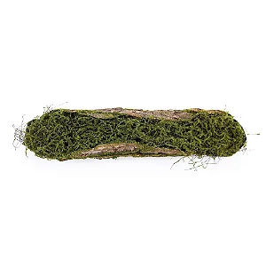 Tronco Decorativo Horizontal Musgo/Madeira G 18x86x16cm Verde/Marrom - 1 Un