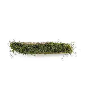 Tronco Decorativo Horizontal Musgo/Madeira P 9x46x12cm Verde/Marrom - 1 Un