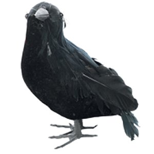 Corvo Decorativo Gralha Preta M 17cm - 1 Un