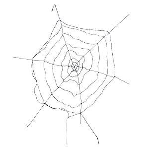 Teia de Aranha Preta Com Luz Clara 1,40 Metros - 1 Un