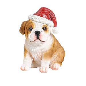Cachorro Bulldog com Gorro Branco e Beg / Vermelho