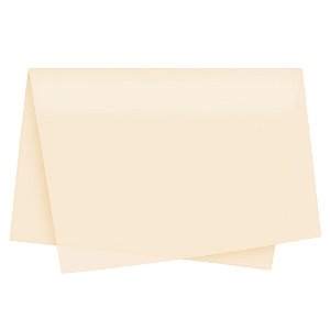 Papel Seda Palha 49x69 - 100 Un