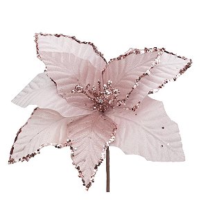 Poinsetia Rosa Claro
