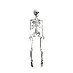 Esqueleto Articulado Xavier Halloween 92cm - 1 Un