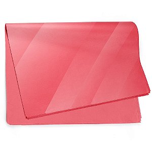 Folha Sujinho 49x69cm Liso Goiaba - 50 Un