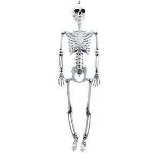 Esqueleto Leon Para Pendurar 90cm - 1 Un