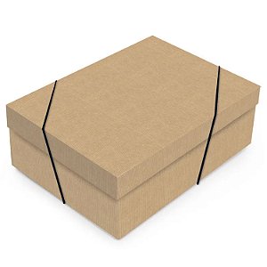 Caixa Retangular com Tampa Lisa Kraft M 35x25x11cm - 10 Un