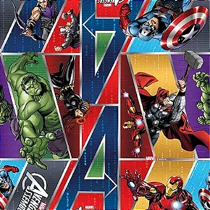 Folha Poli Licenciado 69x89cm Assemble - 25 Un
