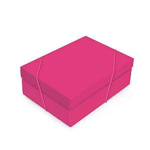 Kit Caixa Retangular com Tampa Pink Core G 46x33x14cm - 10 Un