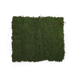 Tapete Grama Rústico 1,00 Metro x 80cm Verde - 1 Un