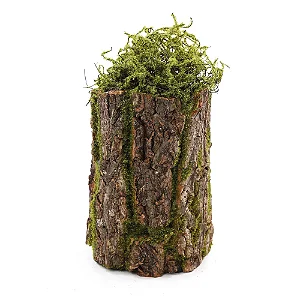 Tronco Decorativo Vertical Musgo/Madeira G 18x18x35cm Verde/Marrom - 1 Un