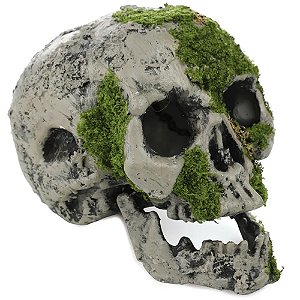 Crânio Musgo Com Luz Decoração Halloween 16cm - 1 Un