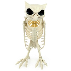 Esqueleto Coruja Decoração Halloween 31,5cm - 1 Un