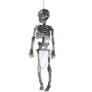 Esqueleto Musgo Augustus Para Pendurar 40cm - 1 Un