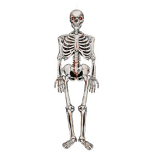 Caveira de Papel Halloween 1,35 Metros - 1 Un
