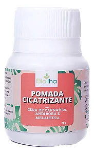 Pomada Cicatrizante - Bio Ilha