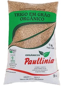 Trigo em Grão Orgânico Paullinia 1kg