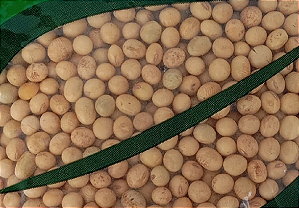 Soja em Grão Orgânico a Granel Paullinia Saco 25kg