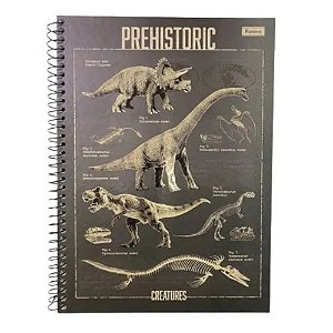 Caderno Univ Capa Dura 1 Materia Sauros 80 Folhas Foroni