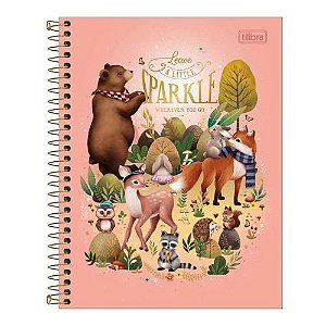 Caderno Cd Colegial 1 Materia Loveland 80 Folhas Tilibra