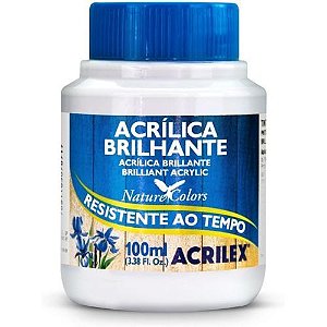 Tinta Acrilica Brilhante 100ml Branco Cod 519 Acrilex