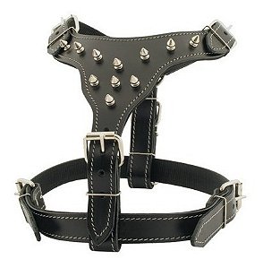Peitoral Couro Pitbull Com Spiker N.3