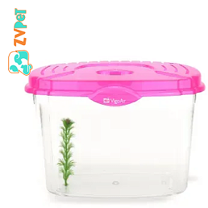 Beteira Betta Flex Classic 4,2lt Rosa