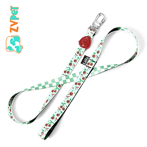 Guia Tradicional 1,2m Cherry - G - Freefaro