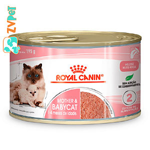 Racao Umida Royal Canin Lata Mother &amp; Babycat Instinctive Para Gatas Gestantes/lactantes E Gatos Filhotes 195 G