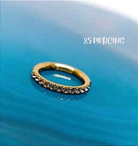 SEGMENTO AÇO ZIRCÔNIA CRAVEJADA 8MM GOLD PVD