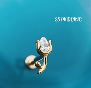 LBT TULIPA ZIRCÔNIA TITÂNIO GOLD PVD