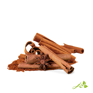 Canela em lasca (100g)