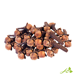 Cravo (100g)
