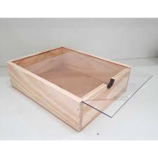 Caixa Pinus com tampa transparente tipo estojo