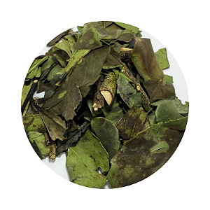 Cha Verde Nacional 30g (Camellia Sinensis)
