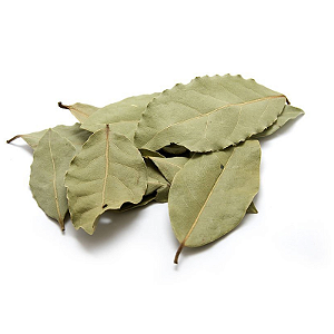 Folha De Louro 10g (Laurus Nobilis)