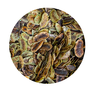 Chá De Folículo De Sene Vargem 30g (Cassia Angustifolia)