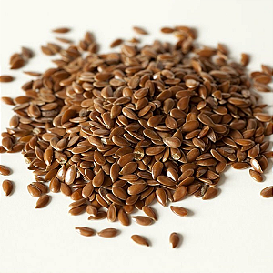 Linhaça Marrom em Grãos 100g