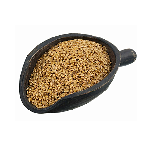 Linhaça Dourada em Grãos 100g