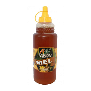 Mel Puro Silvestre Bisnaga 280G Apicultura Boa Vista