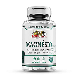 Magnésio 4x1 30 Capsulas 750mg  Rei terra