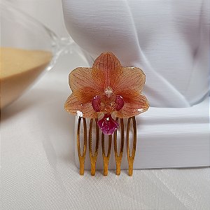 Arranjo Alice - Orquídea Natural Preservada em Resina