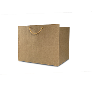 Sacola 24x20x19cm - Kraft - 10 Unidades