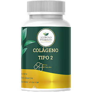 Colágeno  Tipo 2  40mg