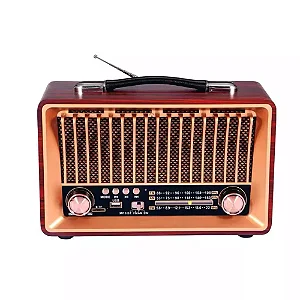 RADIO RETRO AM/FM USB BLUETOOTH TOMATE MTJ-2015