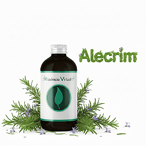 Essência 100ml - Alecrim | Essência Virtual