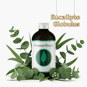 Essência 100ml - Eucalipto Globulus | Essência Virtual